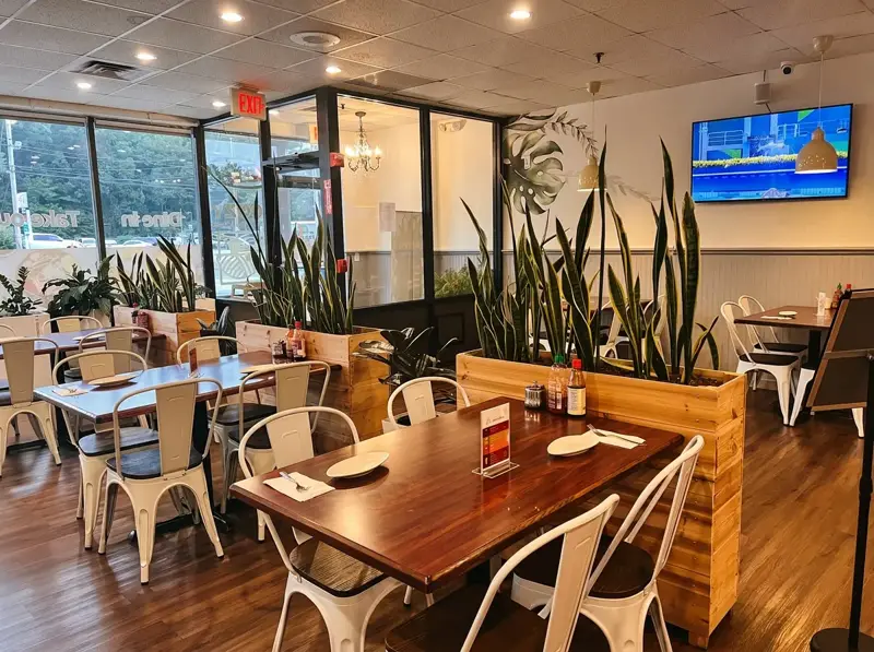 Cozy seating area framed by tall snake plants and wooden planters